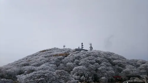 鶴見岳　霧氷の山頂