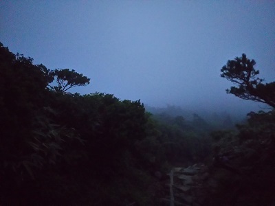 登山　霧