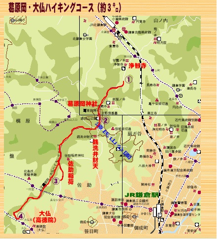 鎌倉ハイキング初心者 3選 子供と行きたい登山初心者おすすめの3コース