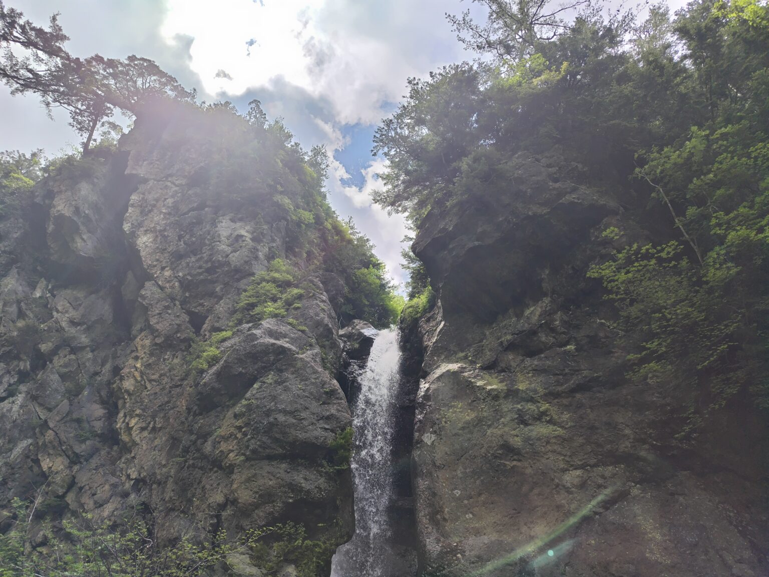 460470246818ef0fad64929f7326dbf2