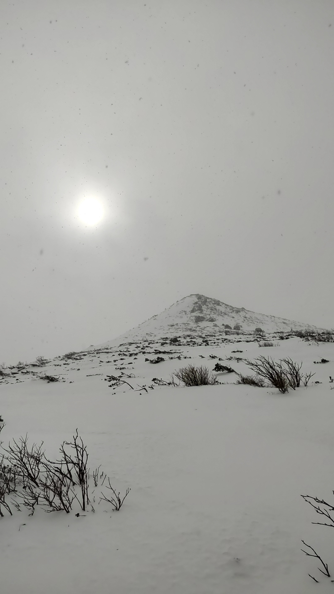 49866c422d6856b6eb606d161d0d4c4c