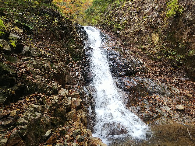 7e1a457b9707f6da1d8df5e7d7901783