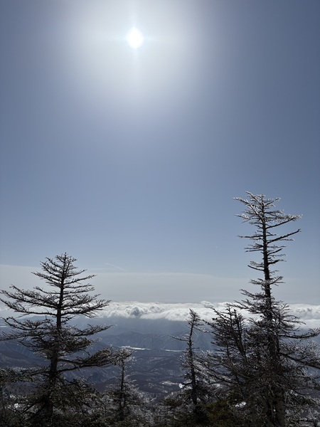 80f174bb8ea75c9a70a46e3140f2c487