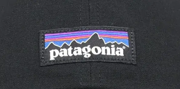 patagonia　ハットのロゴ