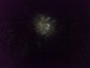 野地温泉登山口 暗い