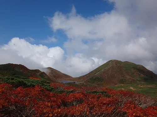 秋田駒ヶ岳登山-焼森付近から男岳と男女岳を望む